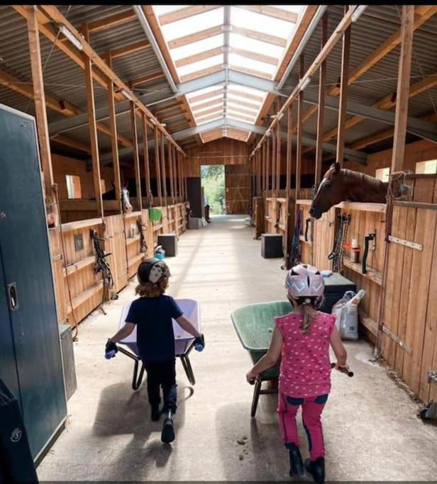 Ferienwohnung Beim Pferdehof Neuenstein  Kültér fotó