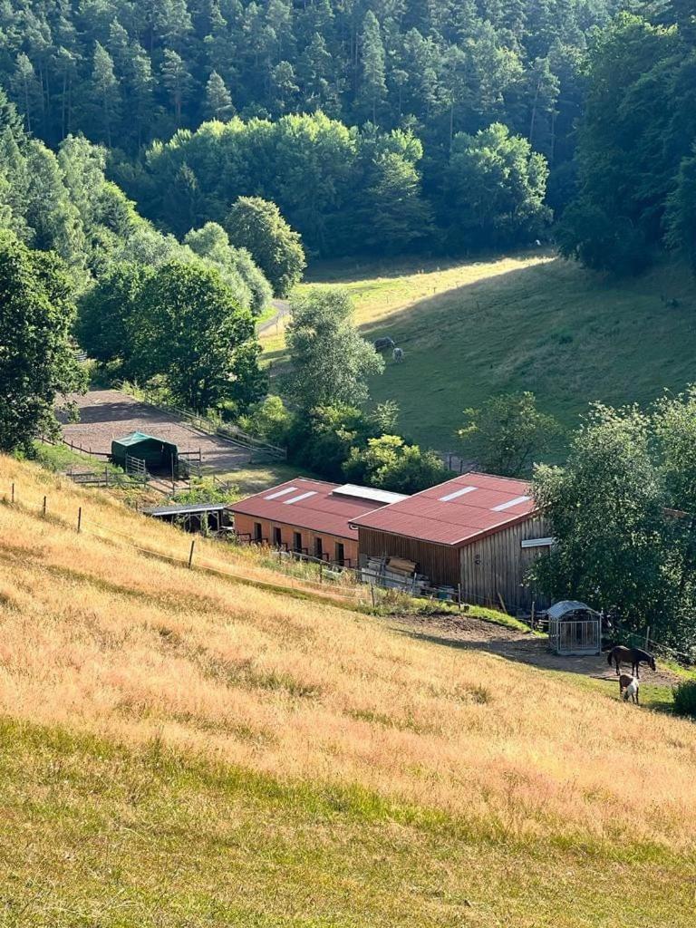 Ferienwohnung Beim Pferdehof Neuenstein  Kültér fotó